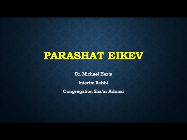 Parashat Eikev, Michael Herts